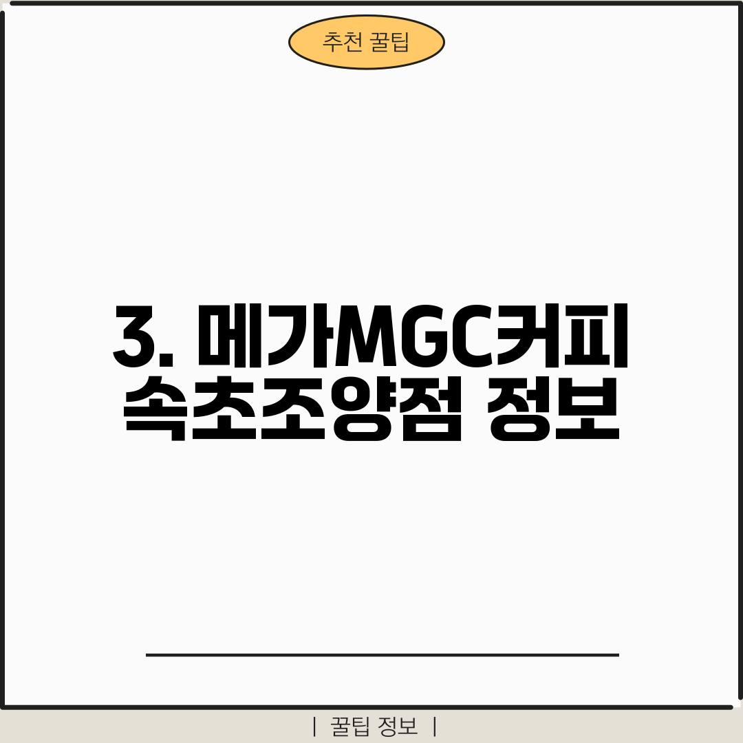 3. 메가MGC커피 속초조양점 정보