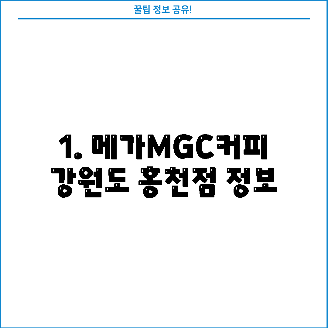 1. 메가MGC커피 강원도 홍천점 정보