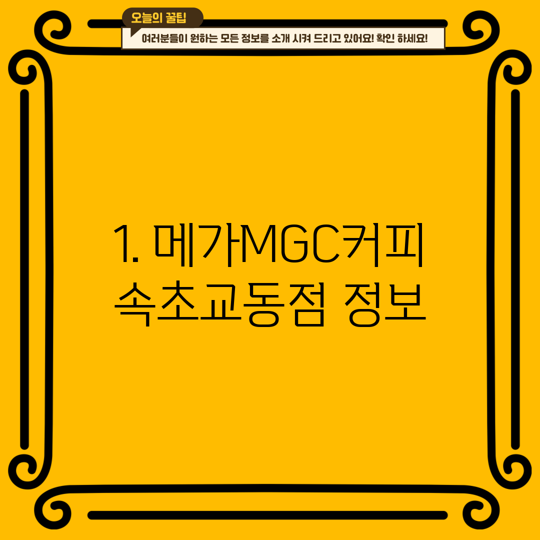 1. 메가MGC커피 속초교동점 정보