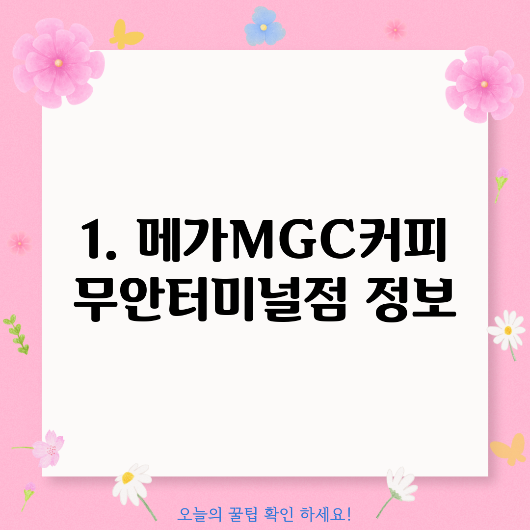 1. 메가MGC커피 무안터미널점 정보