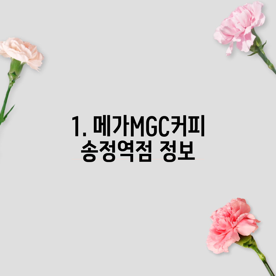 1. 메가MGC커피 송정역점 정보