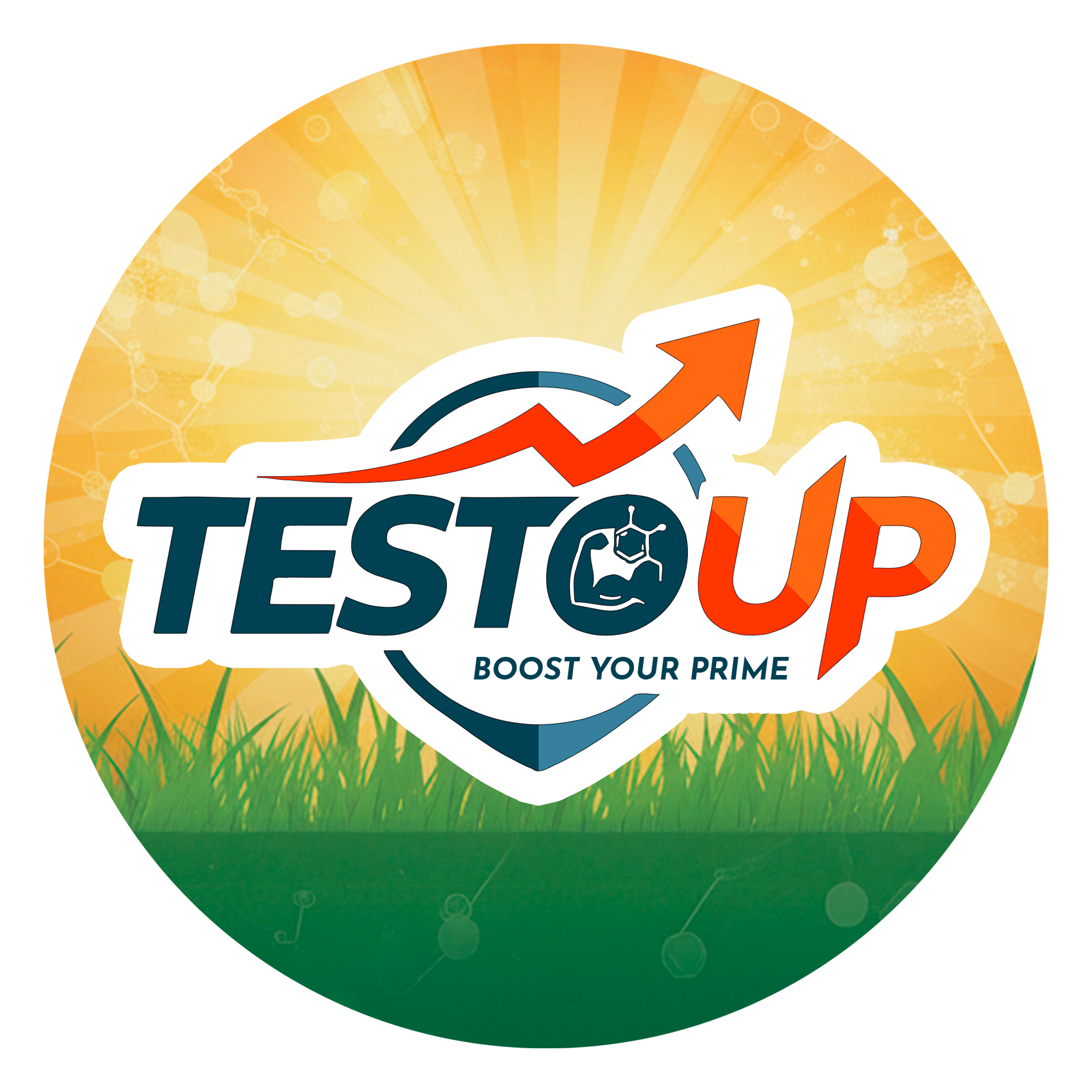 Testo Up Logo