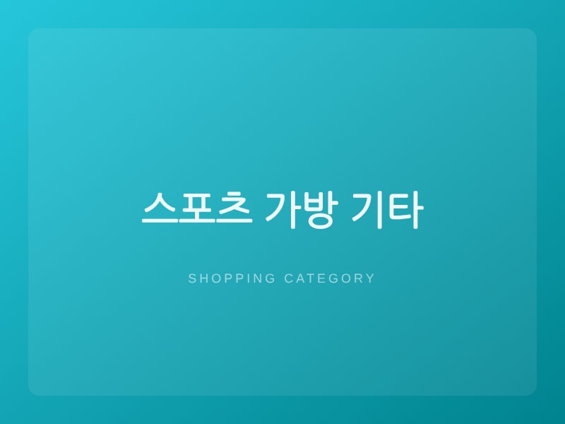 스포츠 가방 기타