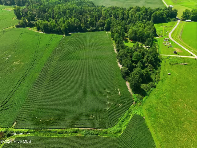 0 S Nc 111 Highway, Chinquapin, NC 28521