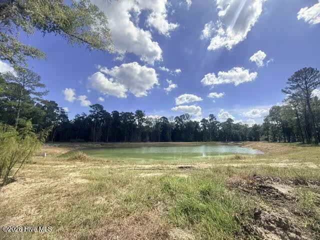 3892 608 River Park Way NE, Leland, NC 28451