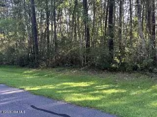 902 113 River Reach Court, New Bern, NC 28560