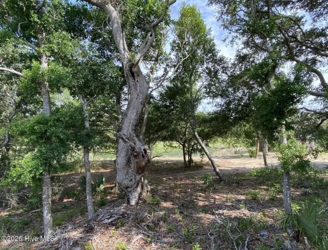 17 949 Sandwich Tern Trail, Bald Head Island, NC 28461