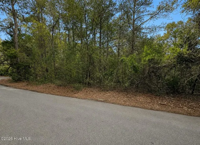 4 Dowitcher Trail, Bald Head Island, NC 28461