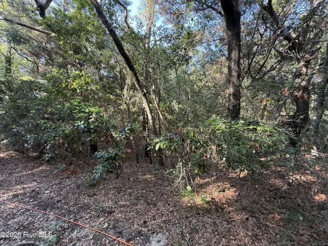 53 712 Fort Holmes Trail, Bald Head Island, NC 28461