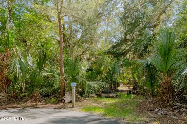 6 447 Gray Fox Court, Bald Head Island, NC 28461