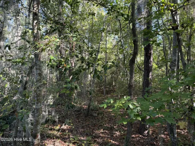 0 17 Eagle View Lane, Blounts Creek, NC 27814