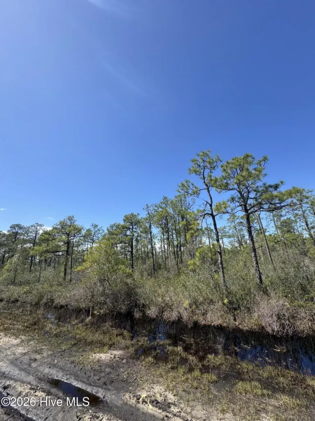 Lot 316 Columbus Road, Boiling Spring Lakes, NC 28461