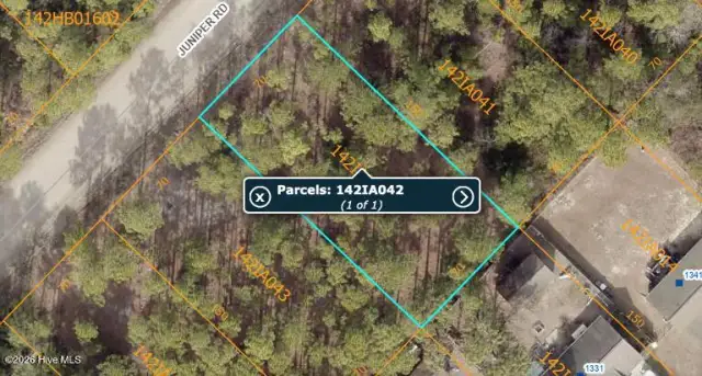 Lot 45 45 Juniper Road, Boiling Spring Lakes, NC 28461
