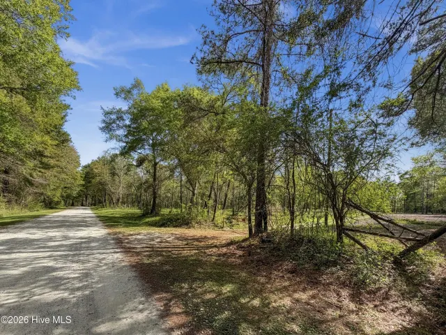 196 17/18/19 Quiet Water Drive, Chinquapin, NC 28521