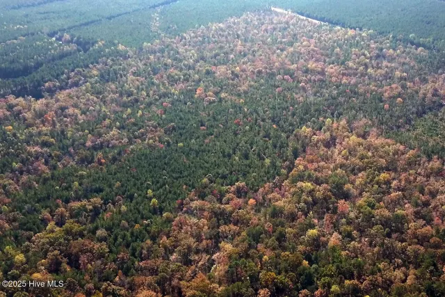 Sr #1123 Lots #1 #3, #4, #5 State Rd 1123, Chocowinity, NC 27817