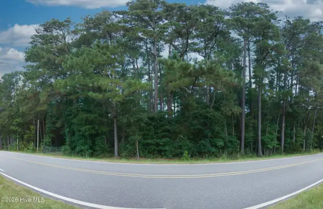 0000 Near 855 Furnie Hamm Road, Clarendon, NC 28432