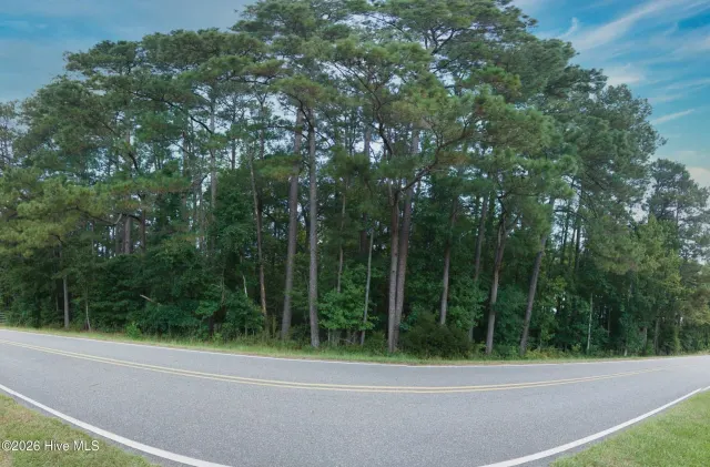0000a Near 855 Furnie Hamm Road, Clarendon, NC 28432