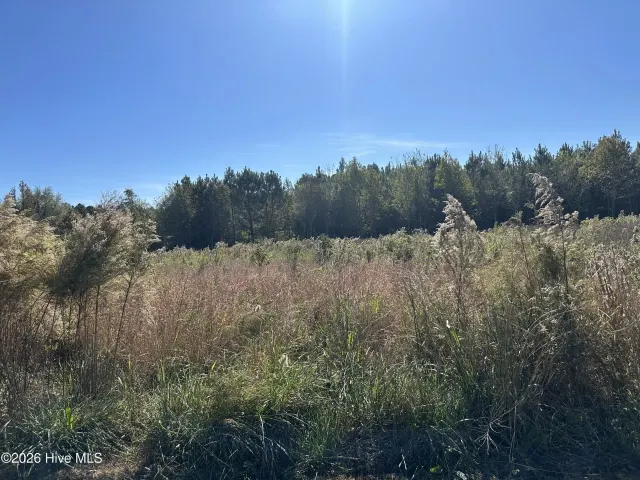 Near 18 Taylor Lane, Clarendon, NC 28432