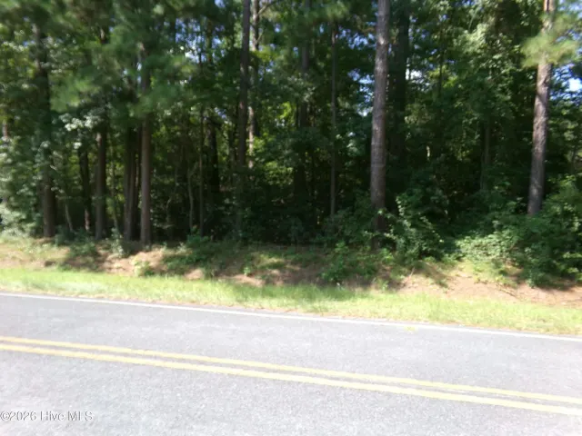 0 1701 State Road, Clarkton, NC 28433