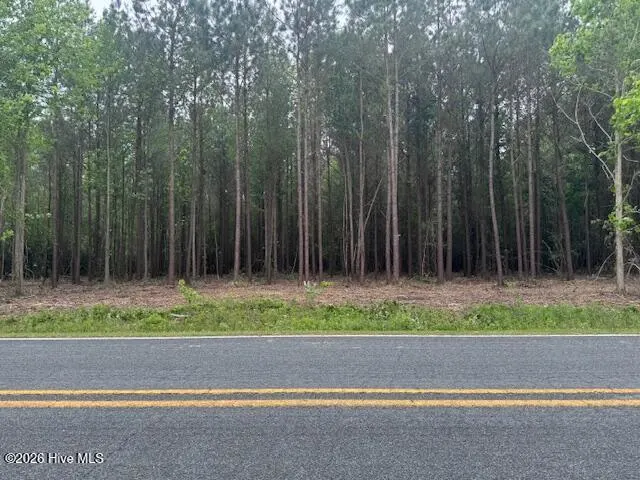 1 1 Great Swamp Road, Ernul, NC 28527