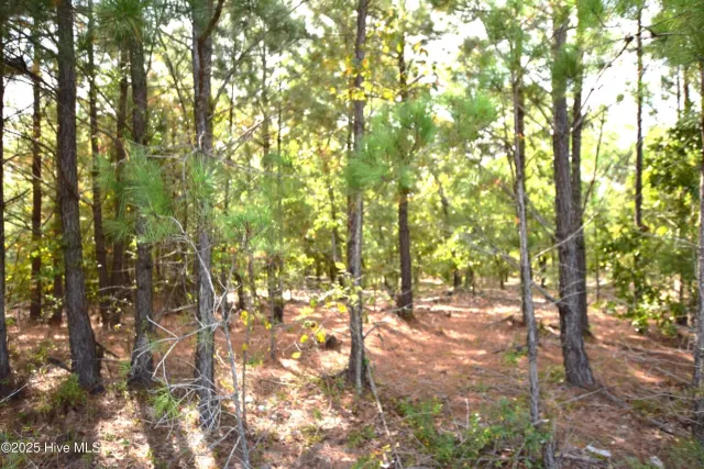 1035 Mill Road, Jackson Springs, NC 27281