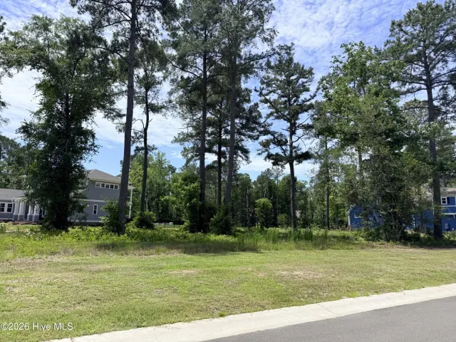 3764 530 River Park Way NE, Leland, NC 28451