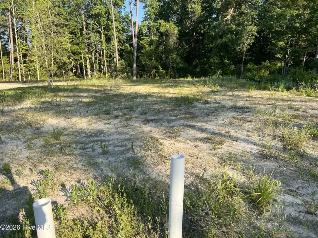 9069 National Avenue NE, Leland, NC 28451