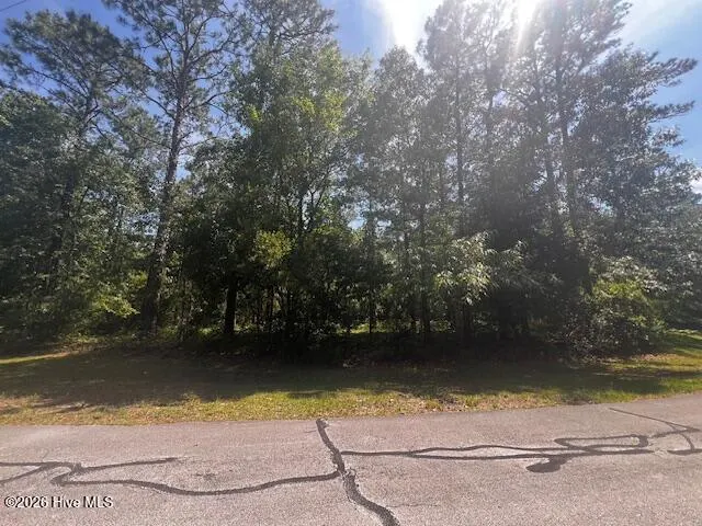 907 Hurricane Court, New Bern, NC 28560