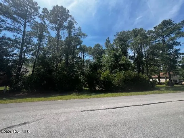 908 121 Point Court, New Bern, NC 28560