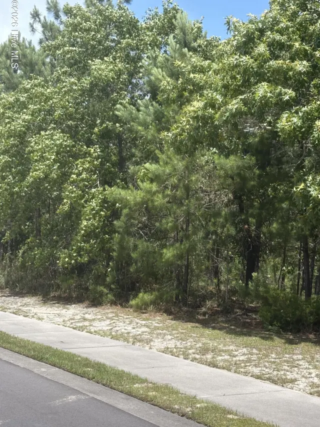 3005 Arundel Hill SW, Shallotte, NC 28470