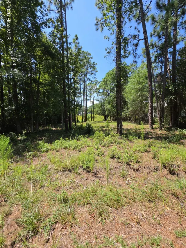 44 Pine Shores Drive, Southport, NC 28461
