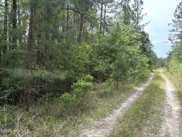 L 113 13 Chimney Swift Lane SE, Southport, NC 28461