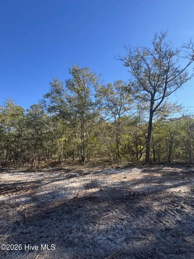 Lot 166 Coral Gull Street, Southport, NC 28461