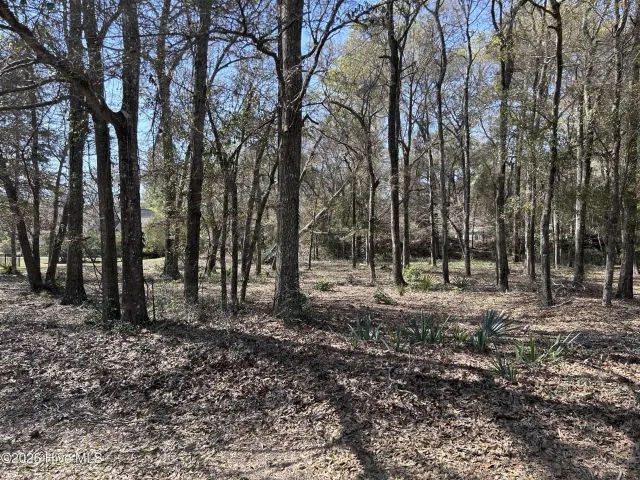 1951 Redfish Run SW, Supply, NC 28462