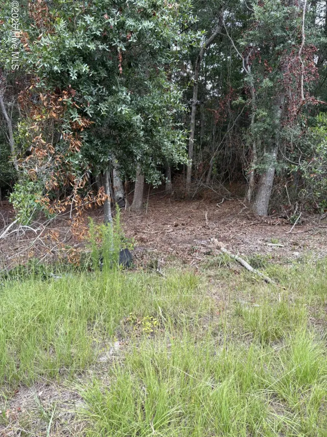 2973 109 James Street SW, Supply, NC 28462