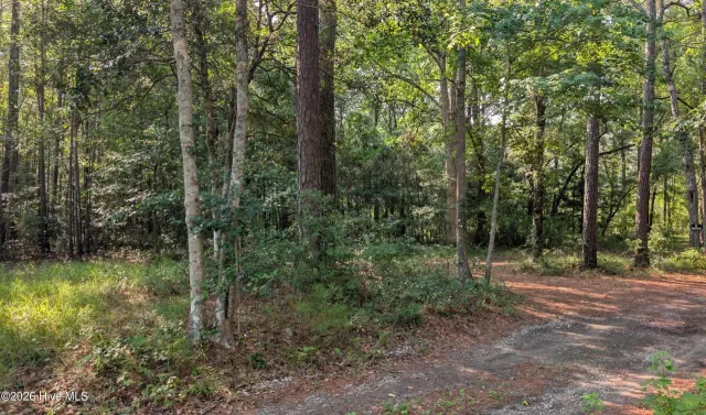 310 Sassafras Lane SW, Supply, NC 28462