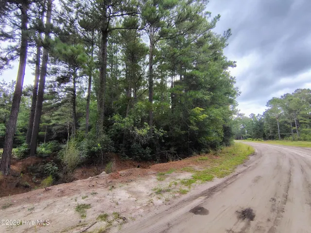 Lot 45 45 Near 519 Deer Lane, Tabor City, NC 28463
