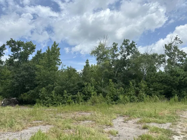 Near 99 Andrews Lake Drive, Tabor City, NC 28463
