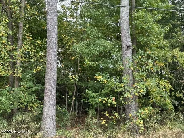 29 S Lakeshore Drive, Whispering Pines, NC 28327