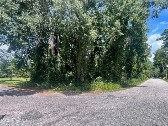 Lot 110 110 & 111 Wildwood Road, Whiteville, NC 28472