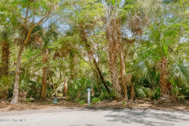 4 448 Gray Fox Court, Bald Head Island, NC 28461