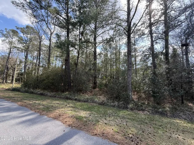 116 15 Wackena Way, Beaufort, NC 28516