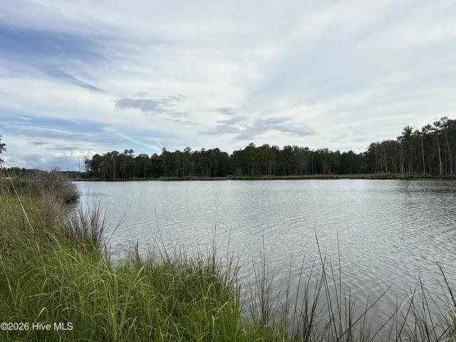 87 87 Bailey Pointe Drive, Belhaven, NC 27810