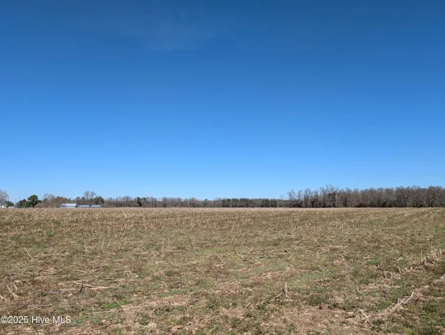 000 1 Cedar Fork Road, Beulaville, NC 28518