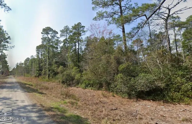 0 9 and 10 Maple Road, Boiling Spring Lakes, NC 28461