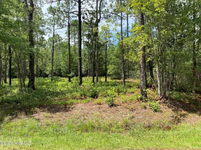361 32&33 Ash Road, Boiling Spring Lakes, NC 28461