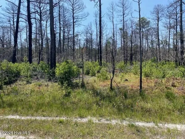 799 73 Jasmine Road, Boiling Spring Lakes, NC 28461