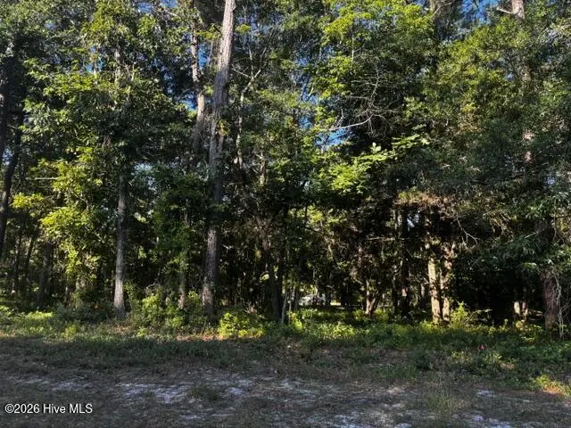 2408 Tract 2 Zion Hill Rd Road SE, Bolivia, NC 28422