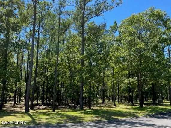 2907 10 Aranda Grove SE, Bolivia, NC 28422