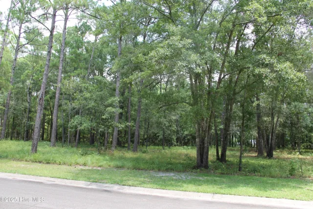 469 30 Shiloh Lane SE, Bolivia, NC 28422